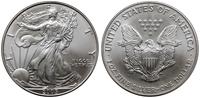 1 dolar 2005, Walking Liberty, srebro próby 999,