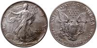 1 dolar 1993, Walking Liberty, srebro próby 999,