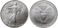 dolar 1996, Filadelfia, typ 'Liberty', srebro 31