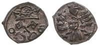 denar 1606, Poznań, skrócona data 0-6, patyna, T