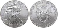 dolar 2008, Filadelfia, Walking Liberty, srebro 