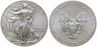 dolar 2013, Filadelfia, Walking Liberty, srebro 
