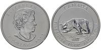 8 dolarów 2013, Ottawa, Biały niedźwiedź, srebro