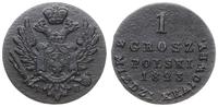 Polska, 1 grosz z miedzi krajowej, 1823/IB