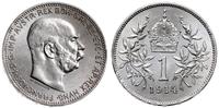 1 korona 1914, Wiedeń, wyśmienita, Herinek 804