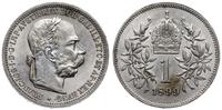 1 korona 1899, Wiedeń, bardzo ładna, Herinek 792
