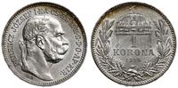 1 korona 1914 KB, Kremnica, piękna, Herinek 816