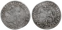 trojak  1562, Wilno, moneta z popiersiem króla, 