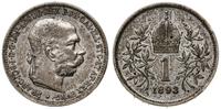 1 korona 1893, Wiedeń, patyna, Herinek 786