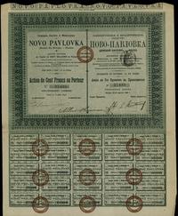 akcja na 100 franków 15.08.1898, Paryż, numeracj