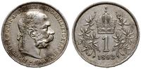 1 korona 1893, Wiedeń, moneta delikatnie przetar