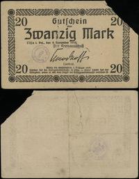 Wielkopolska, 20 marek, 4.11.1918