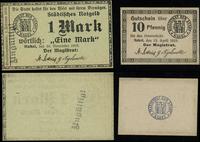 Wielkopolska, zestaw: 10 fenigów i 1 marka, 15.04.1919 / 10.11.1918