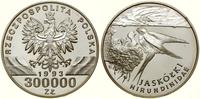 Polska, 300.000 złotych, 1993