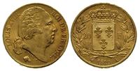 20 franków 1819/A, Paryż, złoto 6.42 g, Friedber