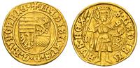 goldgulden 1455-1456, Nagybanya, złoto 3.39 g, P