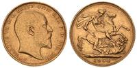1 funt 1904, złoto 7.96 g