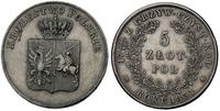 5 złotych  1831, Warszawa, ładny egzemplarz