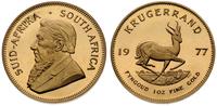 krügerrand 1977, złoto 33.91 g, moneta wybita st