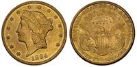 20 dolarów 1894, Filadelfia,  tło monety przed g