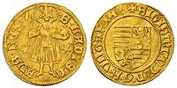 goldgulden  (1402-1404), Nagy Banya, złoto 3.37 