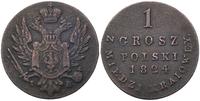 1 grosz 1824, grosz polski z miedzi krajowej