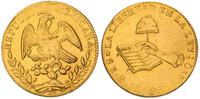8 escudo 1862/YE, Guanajuato, złoto 26.92 g
