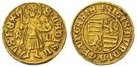 goldgulden  (1429-1436)), Kremnica, złoto 3.54 g