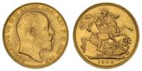funt 1909/M, Melbourne, złoto 7.98 g