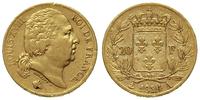 20 franków 1824 / A, Paryż, złoto 6.40 g