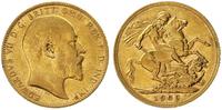 1 funt 1909, London, złoto 7.98 g