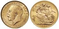 1 funt 1925 /SA, Pretoria, złoto 7.98 g