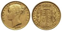 1 suweren 1877 / S, Sydney, złoto, 7.97 g