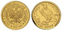 50 złotych 2006, Orzeł Bielik, złoto 3.1 g, mone