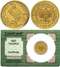 50 złotych 2006, Warszawa, Orzeł Bielik, moneta 