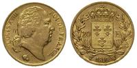 20 franków 1819/W, złoto 6.41 g