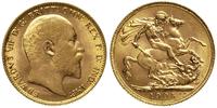 1 funt 1905, złoto 7.99 g