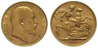 1 funt 1909 /P, Perth, złoto 7.98 g