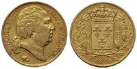20 franków 1824/A, Paryż, złoto 6.38 g