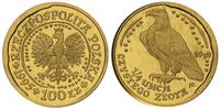 100 złotych 1995, Orzeł Bielik, moneta w orygina