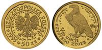 50 złotych 1995, Orzeł Bielik, moneta w oryginal