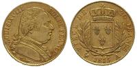 20 franków 1815/A, Paryż, złoto  6.41 g, ładnie 