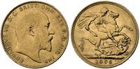 1 funt 1909, Londyn, złoto 916, 7.97 g