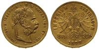8 florenów = 20 franków 1877, Wiedeń, złoto 6.42