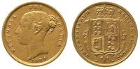 1/2 funta 1884, złoto 3.94 g, Fr. 389e
