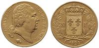 20 franków 1824 / A, Paryż, złoto 6.38 g, Fr. 53