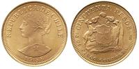50 pesos 1958, złoto "900" 10.18 g
