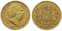 40 franków 1817/A, Paryż, złoto 12.84 g, Gadoury