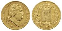 40 franków 1816/A, Paryż, złoto 12.87 g, Gadoury