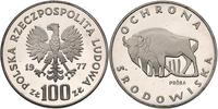 100 złotych 1977, PRÓBA - ŻUBR, srebro 16. 5 g. 